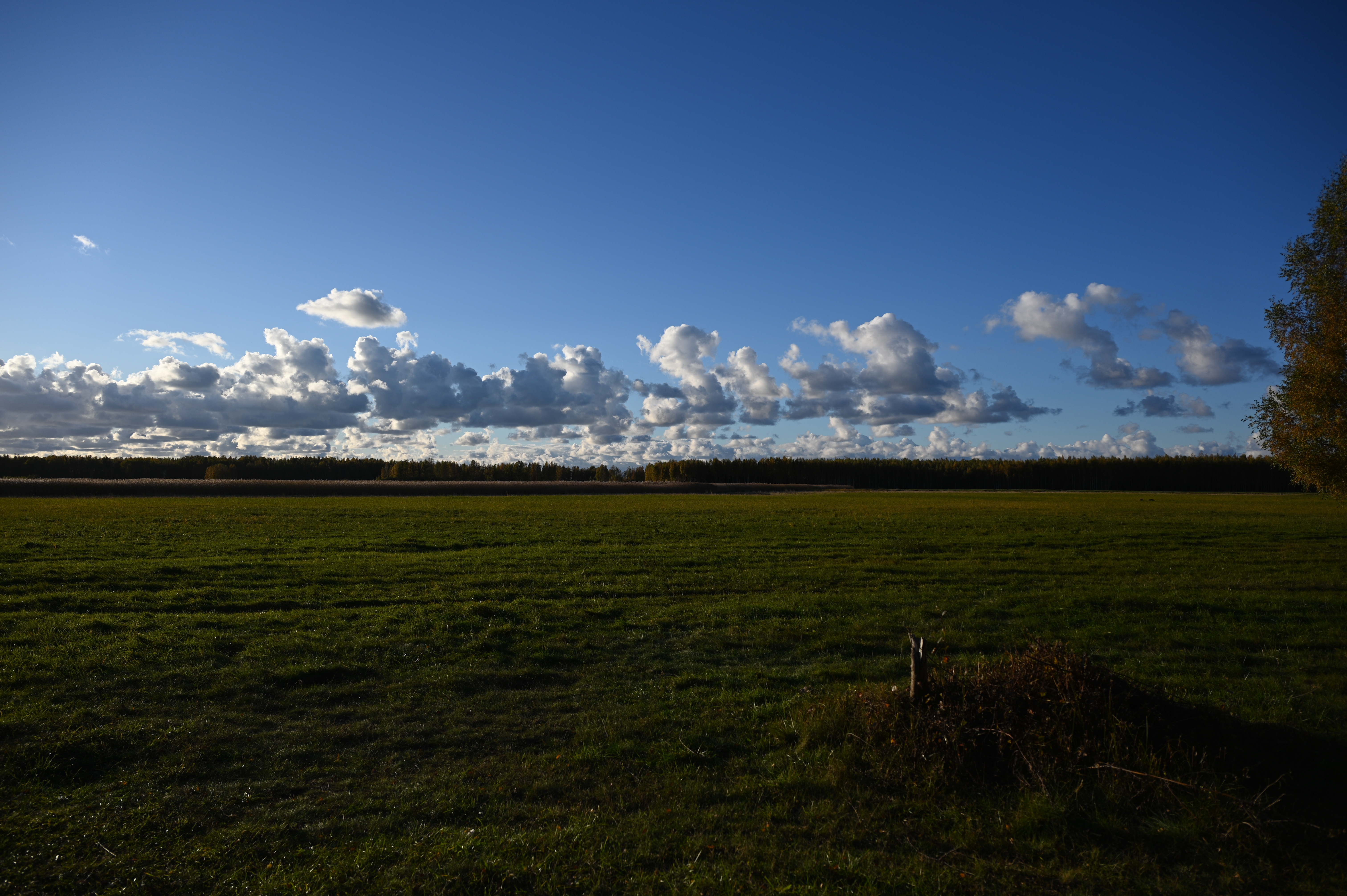 2025/10/18 - walk/DSC_0149.JPG